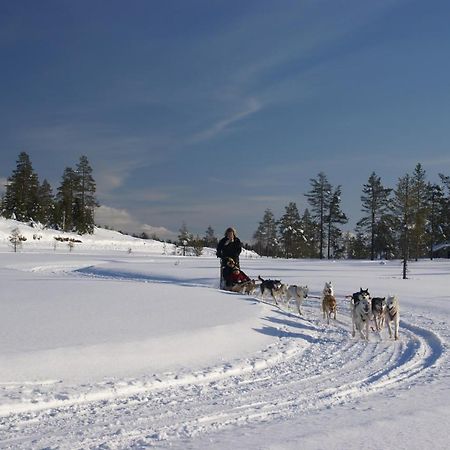 Alevi Camping Stöllet Exteriör bild