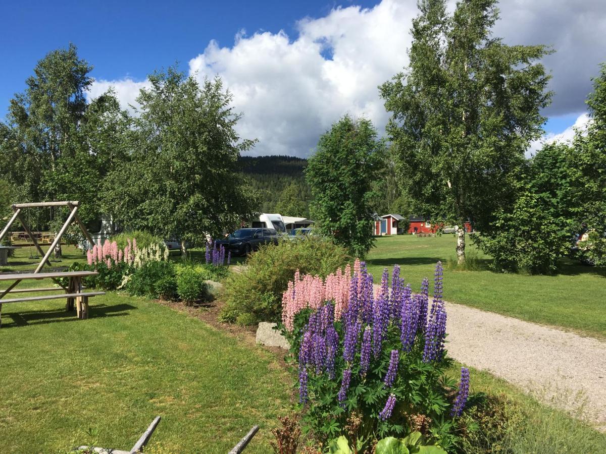 Alevi Camping Stöllet Exteriör bild