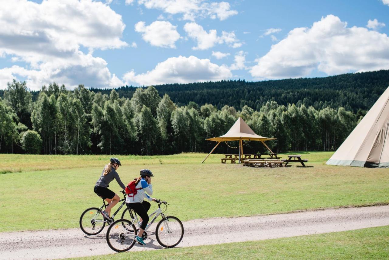 Alevi Camping Stöllet Exteriör bild