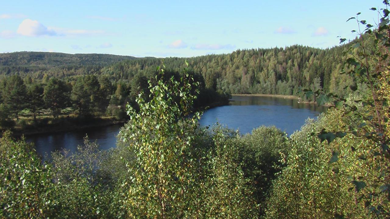 Alevi Camping Stöllet Exteriör bild
